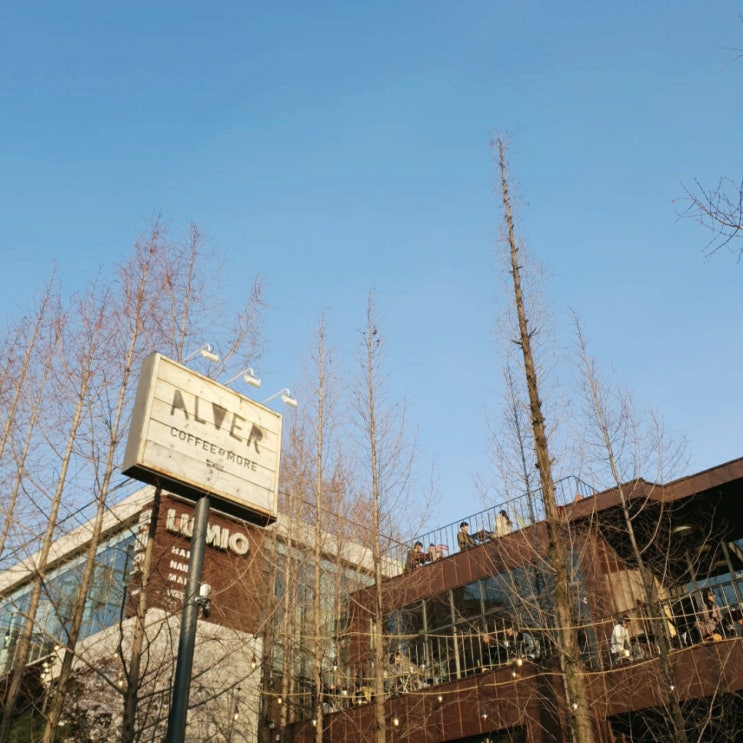  강남 알베르 엄청 넓고 쉬기 좋았지