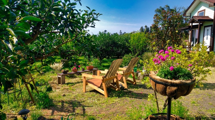 정원의자 셋팅 adirondack chair 정원의자 셋팅 adirondack chair