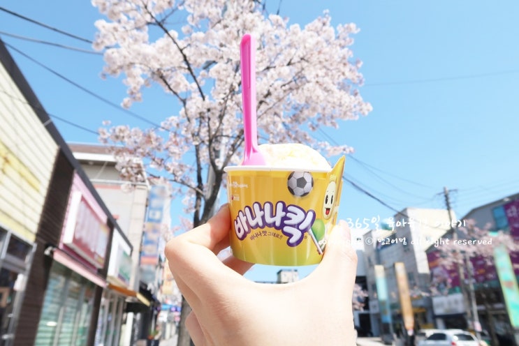  배스킨라빈스 농심 콜라보 베라 아이스 바나나킥 달달해