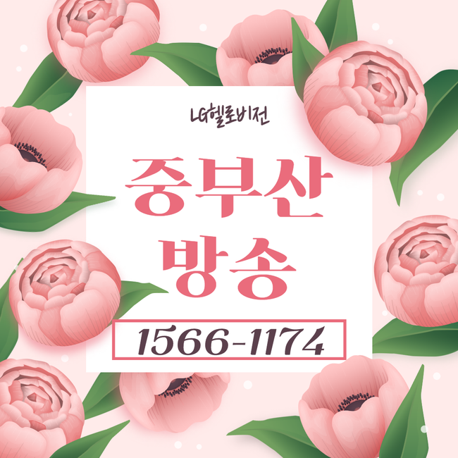중부산케이블 LG헬로비전 중부산방송 봄바람 살랑