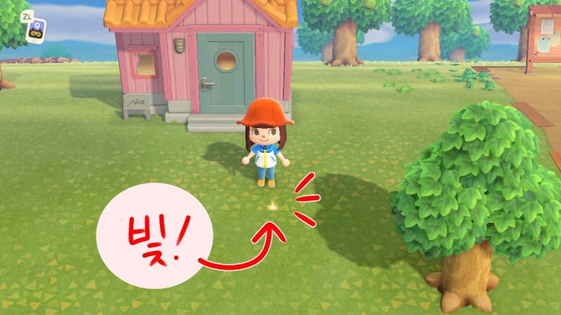 모여봐요 동물의숲 돈나무 키우기 : 모동숲 돈벌기 공략 : 네이버 블로그 모여봐요 동물의숲 돈나무 키우기 : 모동숲 돈벌기 공략 : 네이버 블로그