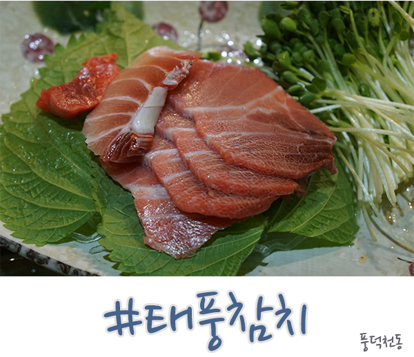 수지 참치는 무조건 여기다 태풍참치!