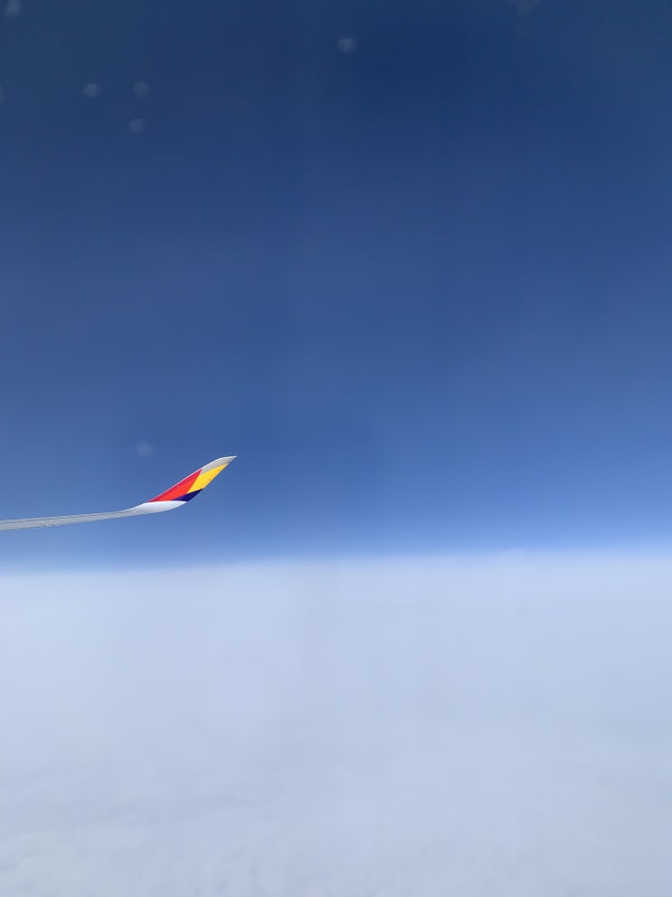  코로나 사태 해외 입국시 절차 후기 (인천공항, 미국, 해외입국,코로나 바이러스)