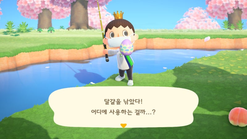모여봐요 동물의숲(모동숲) 4월 물고기, 곤충 도감 가격까지 총정리 : 네이버 블로그