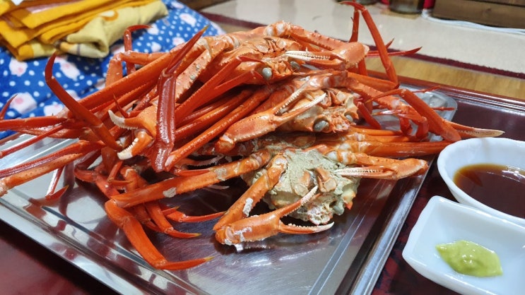  홍게의 철이 왔다. <속초 자숙 홍게 맛있는 리뷰>