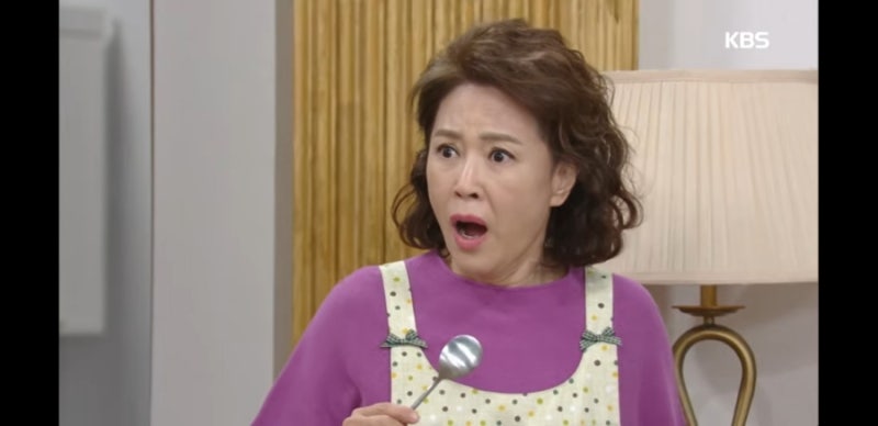 주말극의 감초 차화연의 리즈시절