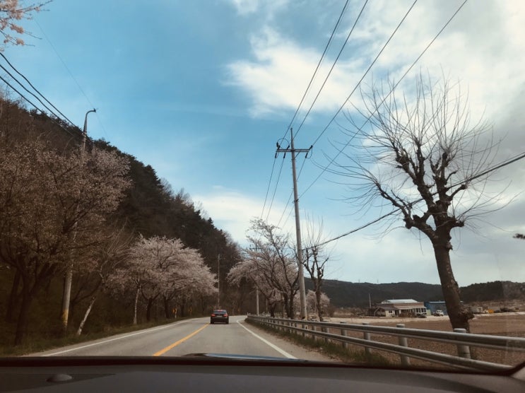  할머님뵈러 미세먼지 없는 청정지역 강원도 여행 :)