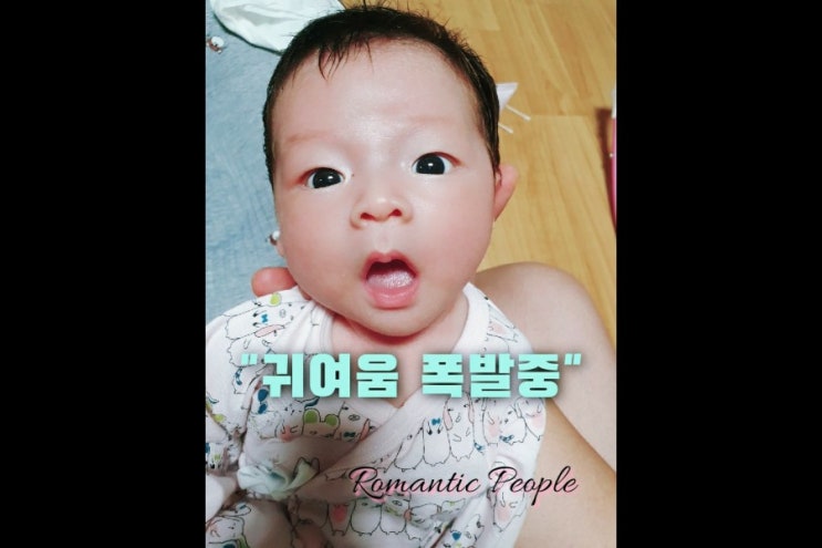 51편 "귀여움 폭발중" 51편 "귀여움 폭발중"