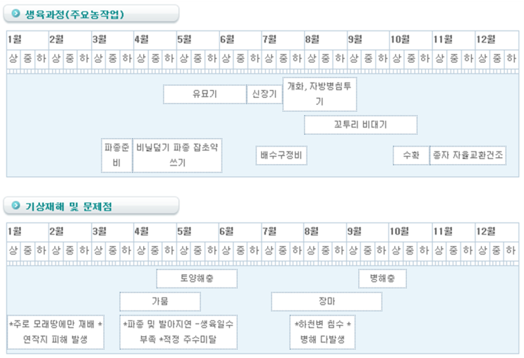  땅콩(생육과정/기상재해 문제점 등)