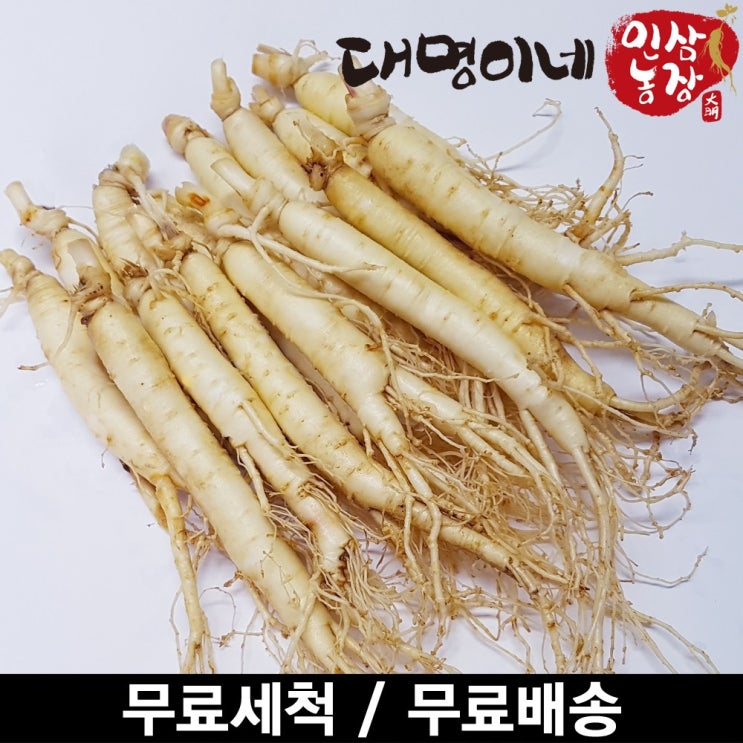 금산인삼 오쿠용 1회분 세척 인삼 수삼 난발 원삼(250g), 1개, 원삼 10~13편(250g) 추천해요