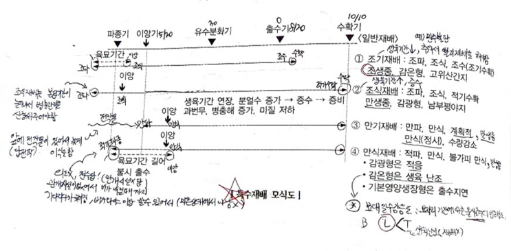  [식용작물학 요약] 벼의 특수재배(조기,조식,만식,만기,2기작,이모작,간척지,밭벼, 무경운 재배)