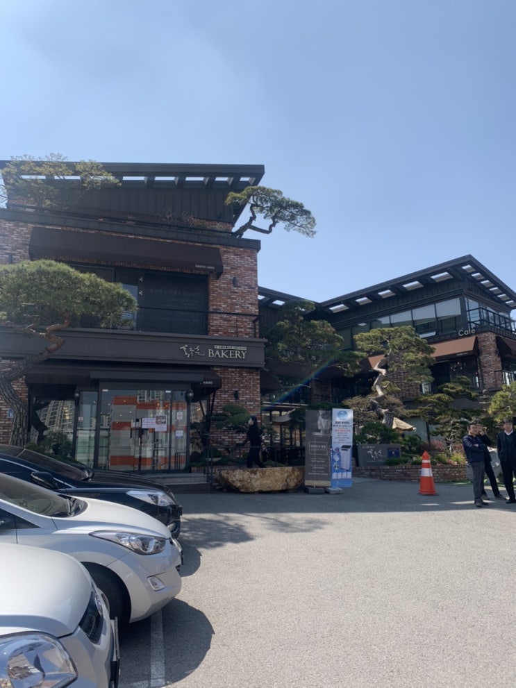  동탄 맛집/ 홍종흔 베이커리/ 육쪽갈릭크림치즈