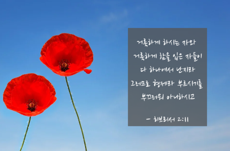  히브리서 2:11 거룩하게 하시는 자와 거룩함을 입는 자