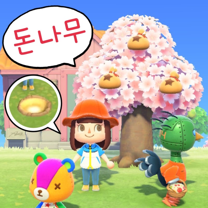 모여봐요 동물의숲 돈나무 키우기 : 모동숲 돈벌기 공략 : 네이버 블로그 모여봐요 동물의숲 돈나무 키우기 : 모동숲 돈벌기 공략 : 네이버 블로그