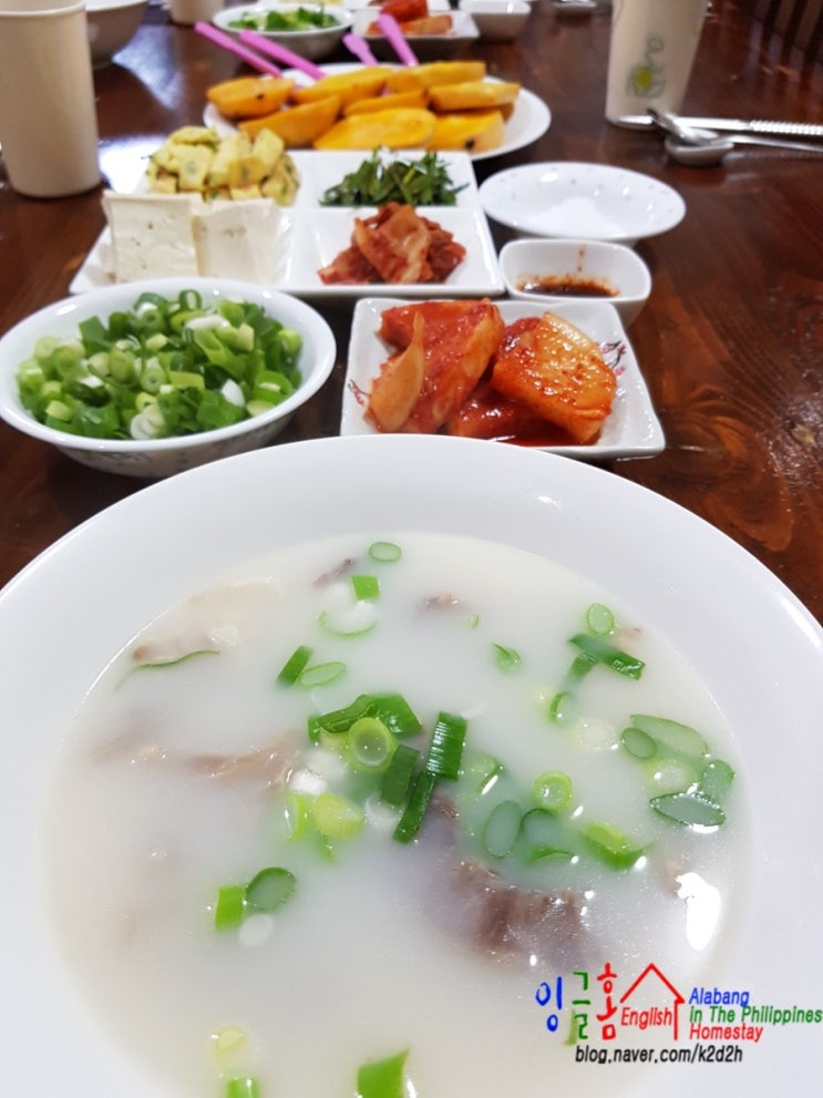  알라방 영어캠프 식사, 밥 안내 아이들은 다양하고 맛있는 음식을 먹어야할 권리가 있다!