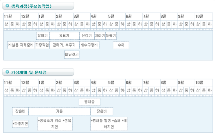  완두(생육과정/기상재해 및 문제점 등)