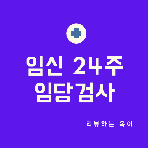  임신 24주 임당검사 임산부 임당검사 시기