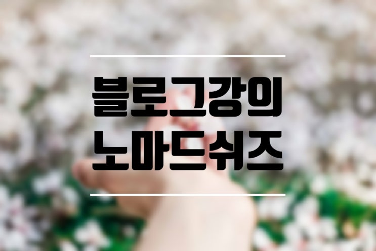  블로그강의 핑크펭귄처럼 적용하는 방법 노마드쉬즈