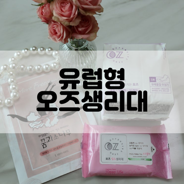  (생리대추천) 다이소생리대 오즈 OZ 유럽형 생리대 중형