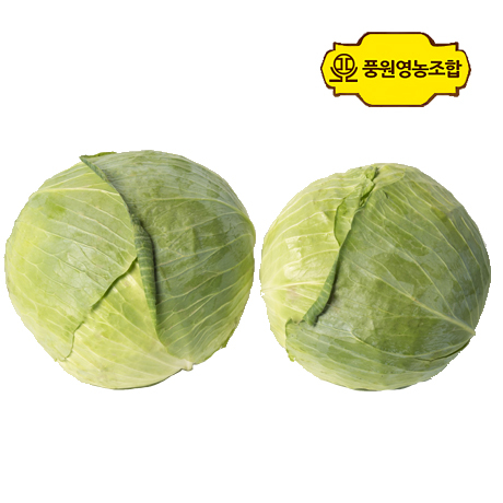 풍원영농조합법인 양배추, 1개, 4kg 추천해요 풍원영농조합법인 양배추, 1개, 4kg 추천해요