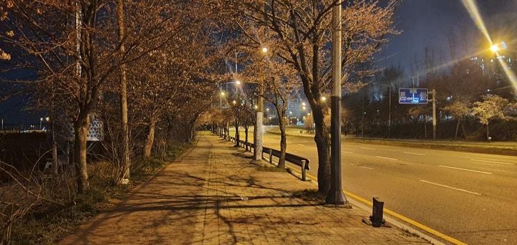  [100 일 프로젝트]1~5일차 걷고 뛰고 달릴수록 느끼는 쓰레기같은 내몸
