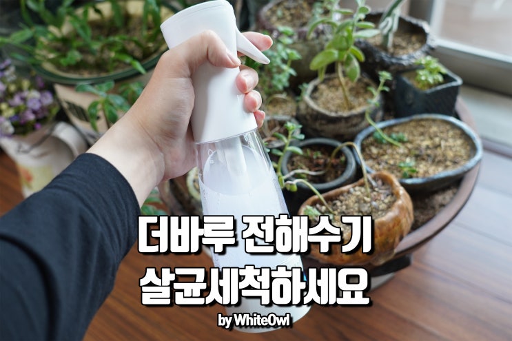  더바루 전해수기 추천 집안 곳곳 활용하기
