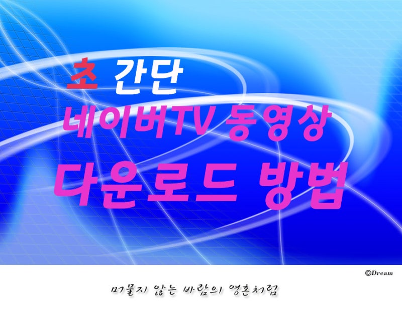 초간단 네이버tv 동영상 원본 다운로드 방법 네이버 블로그