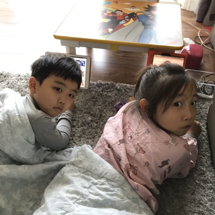 돌아오지 않는 집나간 둥이들