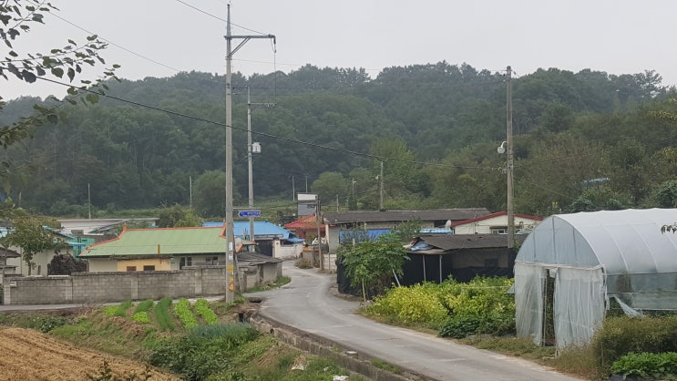  야외스케치 (괴산 청안에서)