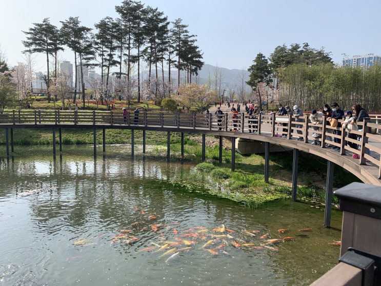 부산 시민공원 피크닉 아이와 다녀왔어요