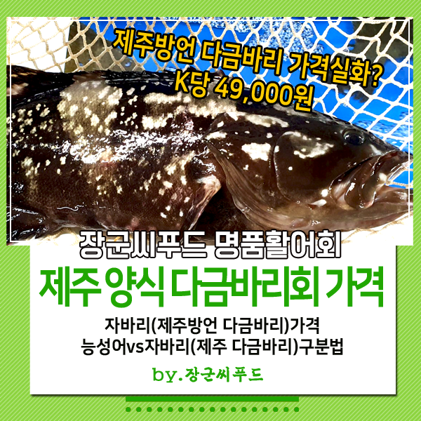 제주도방언 다금바리가격 가짜다금바리 능성어 구별방법 다금바리회배달.택배 장군씨푸드