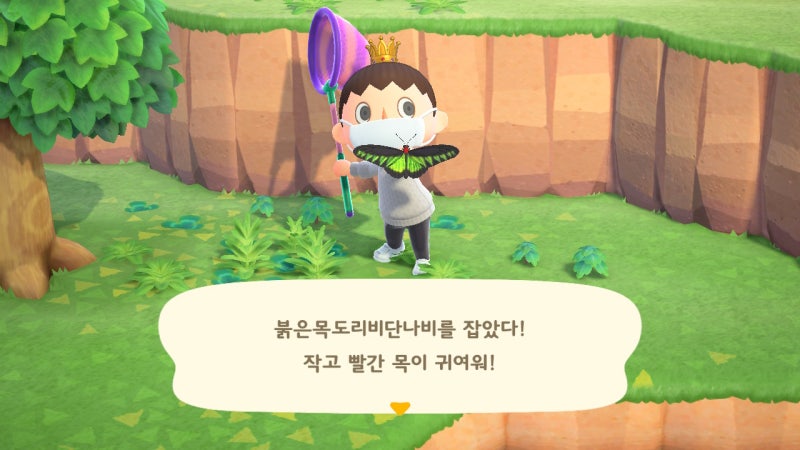 모여봐요 동물의숲(모동숲) 4월 물고기, 곤충 도감 가격까지 총정리 : 네이버 블로그 모여봐요 동물의숲(모동숲) 4월 물고기, 곤충 도감 가격까지 총정리 : 네이버 블로그