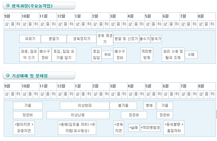  밀(생육과정/기상재해 및 문제점 등)