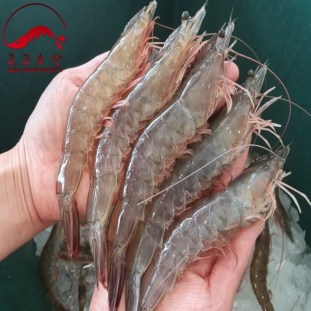 고고수산 국내산 급냉 왕새우 1kg (25-28미내외) 전남신안 최상급 새우 대하, 1개 추천해요 고고수산 국내산 급냉 왕새우 1kg (25-28미내외) 전남신안 최상급 새우 대하, 1개 추천해요