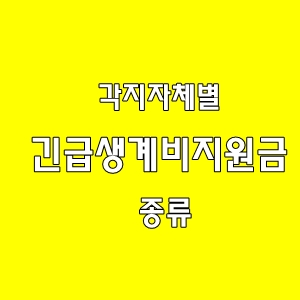  지자체별 긴급생계지비원금 종류