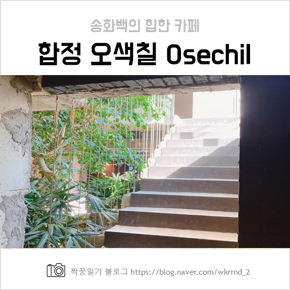  오색칠 Osechill :: 합정 힙한 카페 후기 및 가격