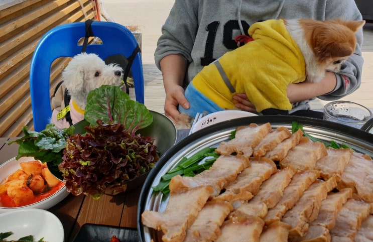  청계산애견동반식당 명가 넘 꿀맛 꿀맛 핵꿀맛이다