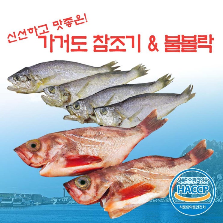 가거도참조기 산지직송 가거도 참조기 프리미엄 6마리+불볼락 대3마리, 1개 추천해요 가거도참조기 산지직송 가거도 참조기 프리미엄 6마리+불볼락 대3마리, 1개 추천해요