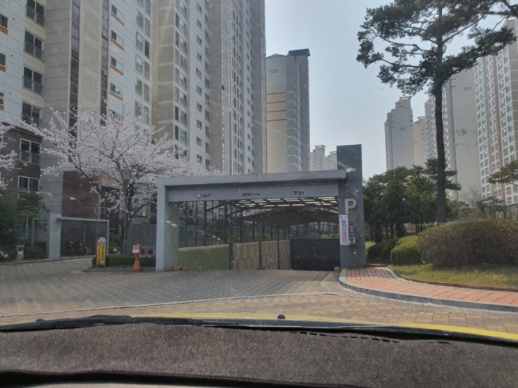  중국 재경대학  유학생 /시내운전연수/도로운전연수/자동차운전연수/운전학원/운전면허/자동차학원/