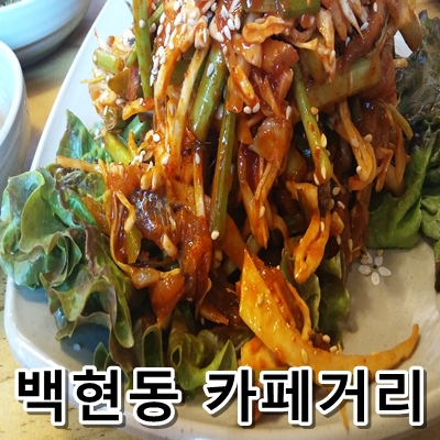  백현동 카페거리 맛집인 서울 멸치쌈밥 멸치회무침 먹방