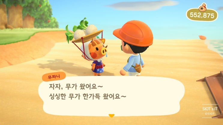 동물의숲 무트코인(무 가격)가이드, 무파니를 통해 시작해보자 동물의숲 무트코인(무 가격)가이드, 무파니를 통해 시작해보자