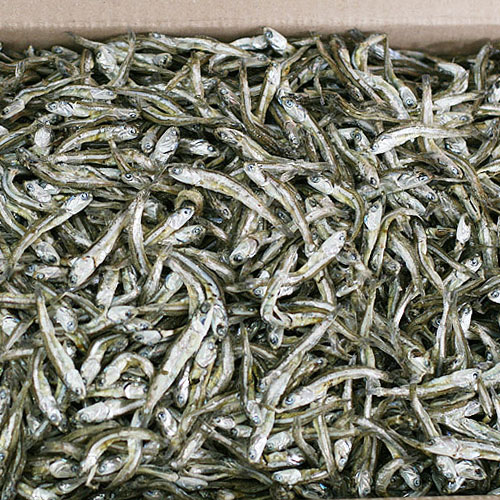마린보이푸드 중멸치, 중멸치 1.5kg 추천해요 마린보이푸드 중멸치, 중멸치 1.5kg 추천해요