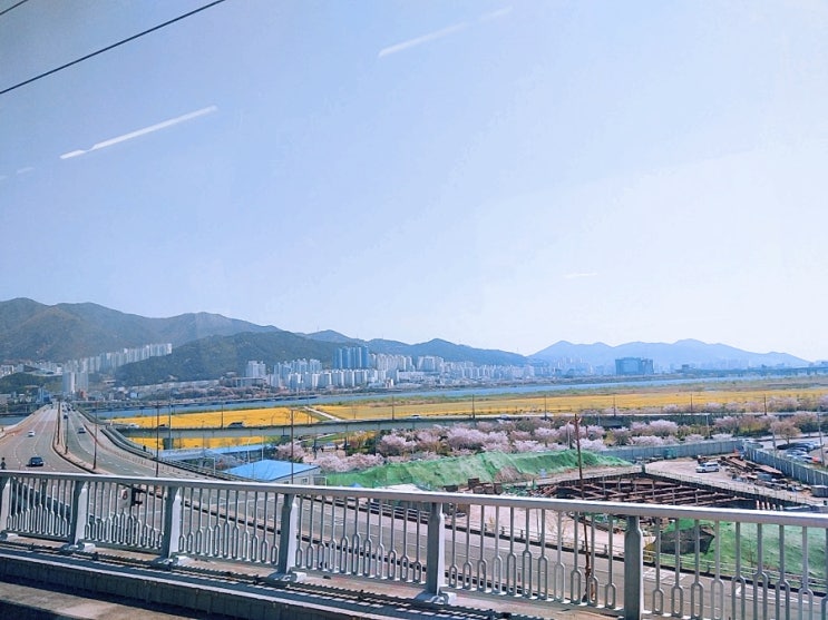 김해부산경전철 운임와 동해선요금 버스지하철간 환승횟수와 시간까지 총정리!