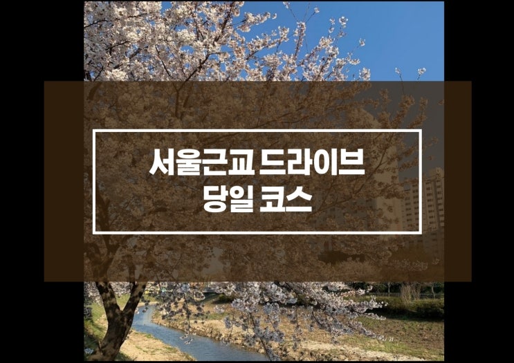 서울근교 드라이브 당일치기 여행코스 팔당댐 맛집 힘찬낙지&힘찬장어 봄 산책 서울근교 드라이브 당일치기 여행코스 팔당댐 맛집 힘찬낙지&힘찬장어 봄 산책