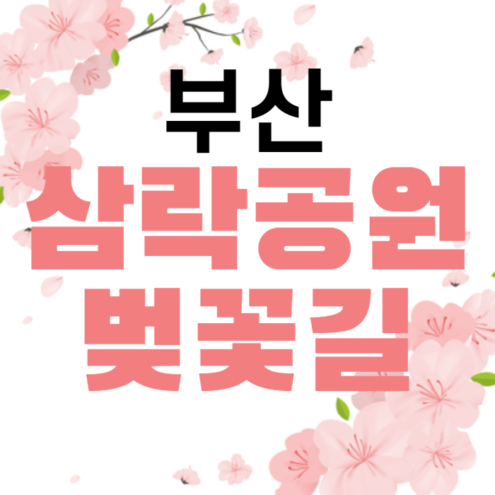 부산 삼락공원 벚꽃 길~ 봄의하늘