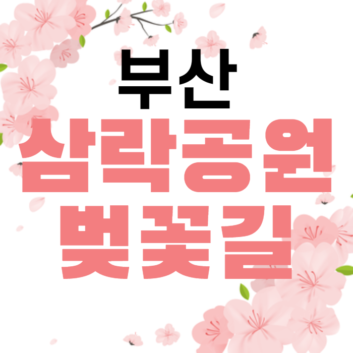 부산 삼락공원 벚꽃 길~ 봄의하늘 부산 삼락공원 벚꽃 길~ 봄의하늘