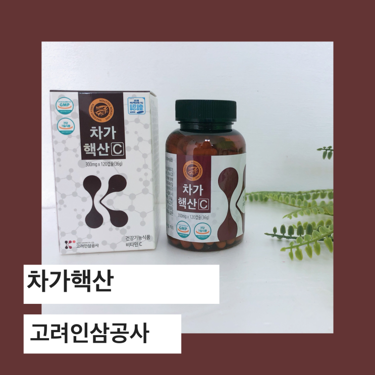  핵산영양제 잘 따져보고 고른 차가버섯  차가핵산C
