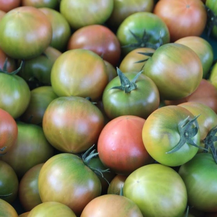 토마토 중에 최고 으뜸 가정용 부산 대저, 1개, 대저토마토_중과_2kg 가격정보