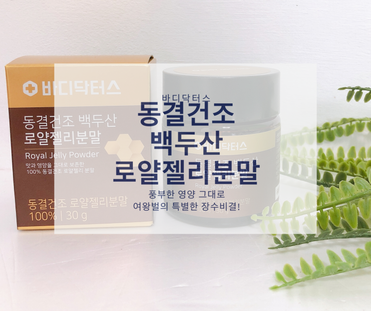  바디닥터스 동결건조 백두산 로얄젤리 먹는법