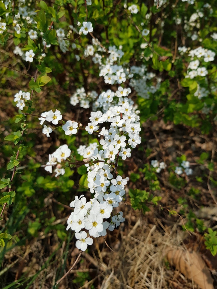  강변, 한강변 산책